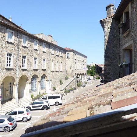 La Maison Du Chateau Au Calme Et Centrale Турнон-сюр-Рон Екстериор снимка